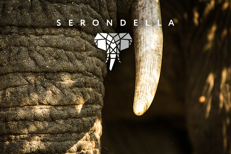 Serondella Safari Lodge