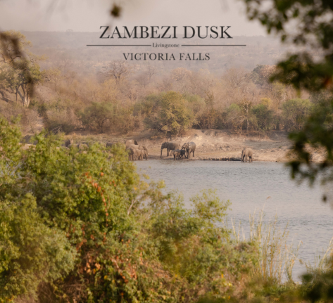 Zambezi Dusk