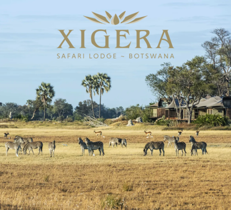 Xigera Safari Lodge